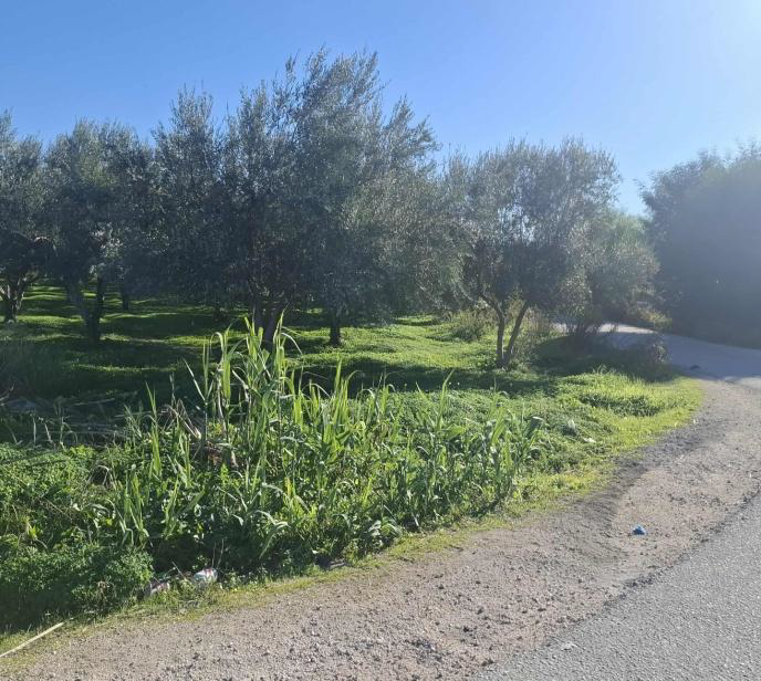 Οικόπεδο 256.56 sq.m. σε πλειστηριασμό Municipality of Velos - Vochas