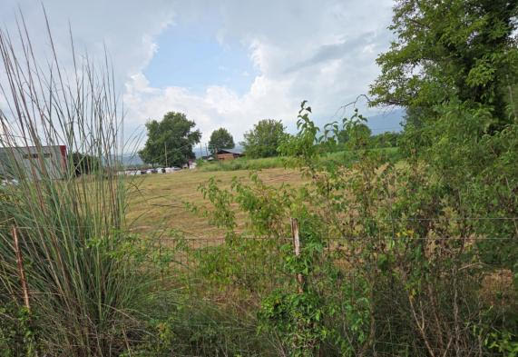 Αγροτεμάχιο  σε πλειστηριασμό Δήμος Αλμωπίας