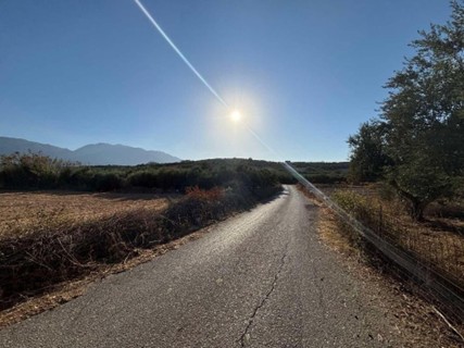 Αγροτεμάχιο 1917.70 τ.μ. σε πλειστηριασμό Δήμος Ρεθύμνης