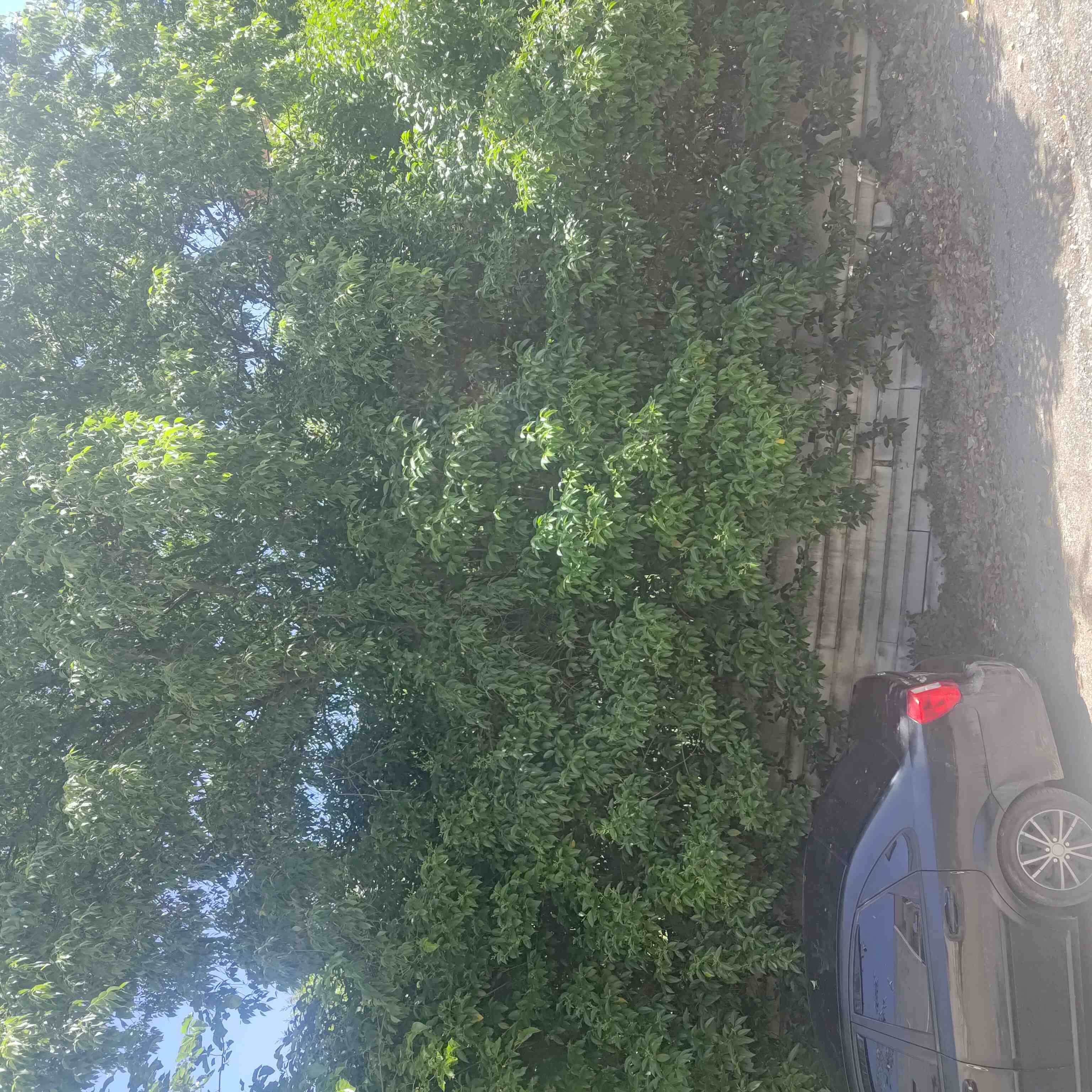 Οικόπεδο 372 τ.μ. σε πλειστηριασμό Δήμος Πυλαίας - Χορτιάτη