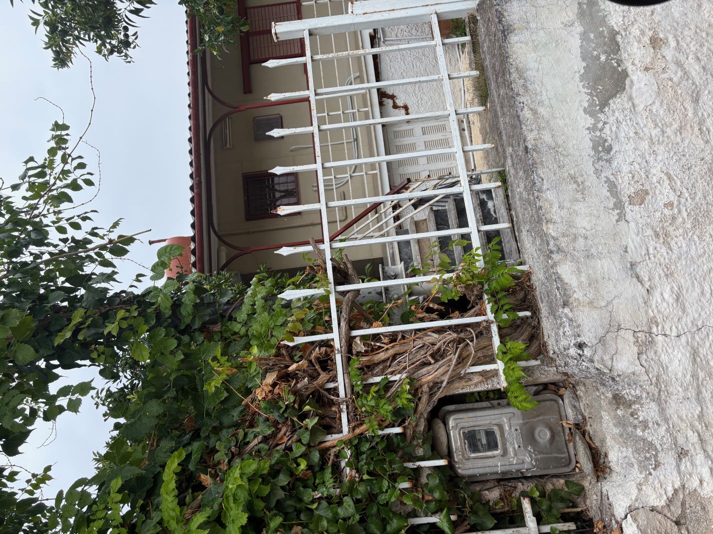 Αγροτεμάχιο με κτίσμα  σε πλειστηριασμό Δήμος Τανάγρας