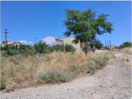 Κατοικία 83 τ.μ. σε πλειστηριασμό Δήμος Λαμιέων