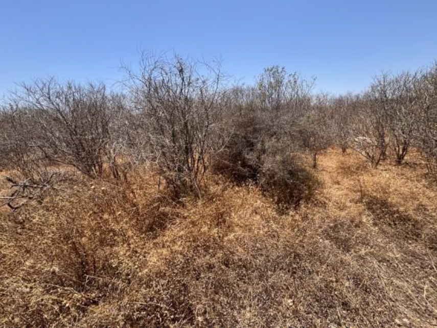 Οικόπεδο  σε πλειστηριασμό Δήμος Ρόδου