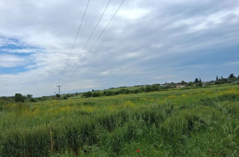 Αγροτεμάχιο  σε πλειστηριασμό Municipality of Nea Propontida