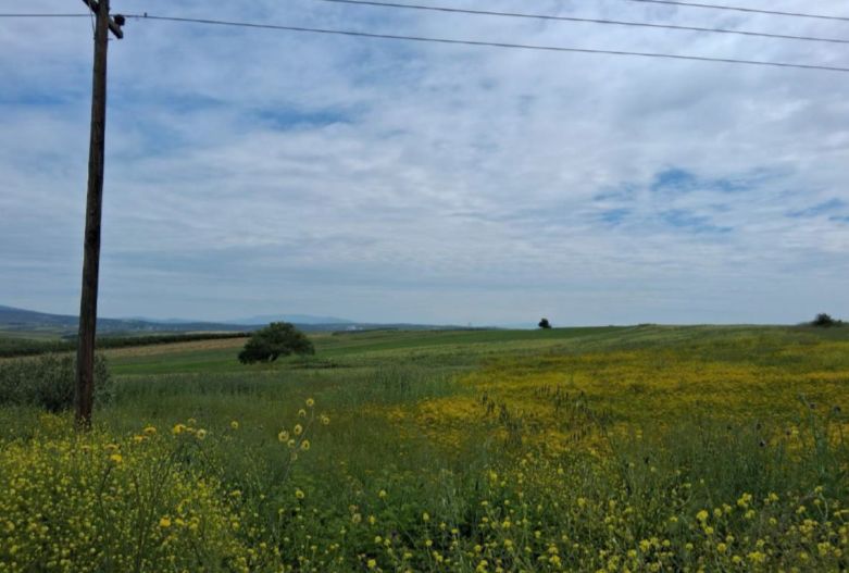 Αγροτεμάχιο  σε πλειστηριασμό Municipality of Nea Propontida