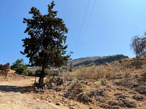 Αγροτεμάχιο  σε πλειστηριασμό Δήμος Αποκορώνου 