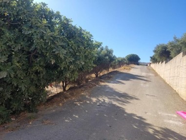 Αγροτεμάχιο 8045.67 τ.μ. σε πλειστηριασμό Δήμος Ρεθύμνης