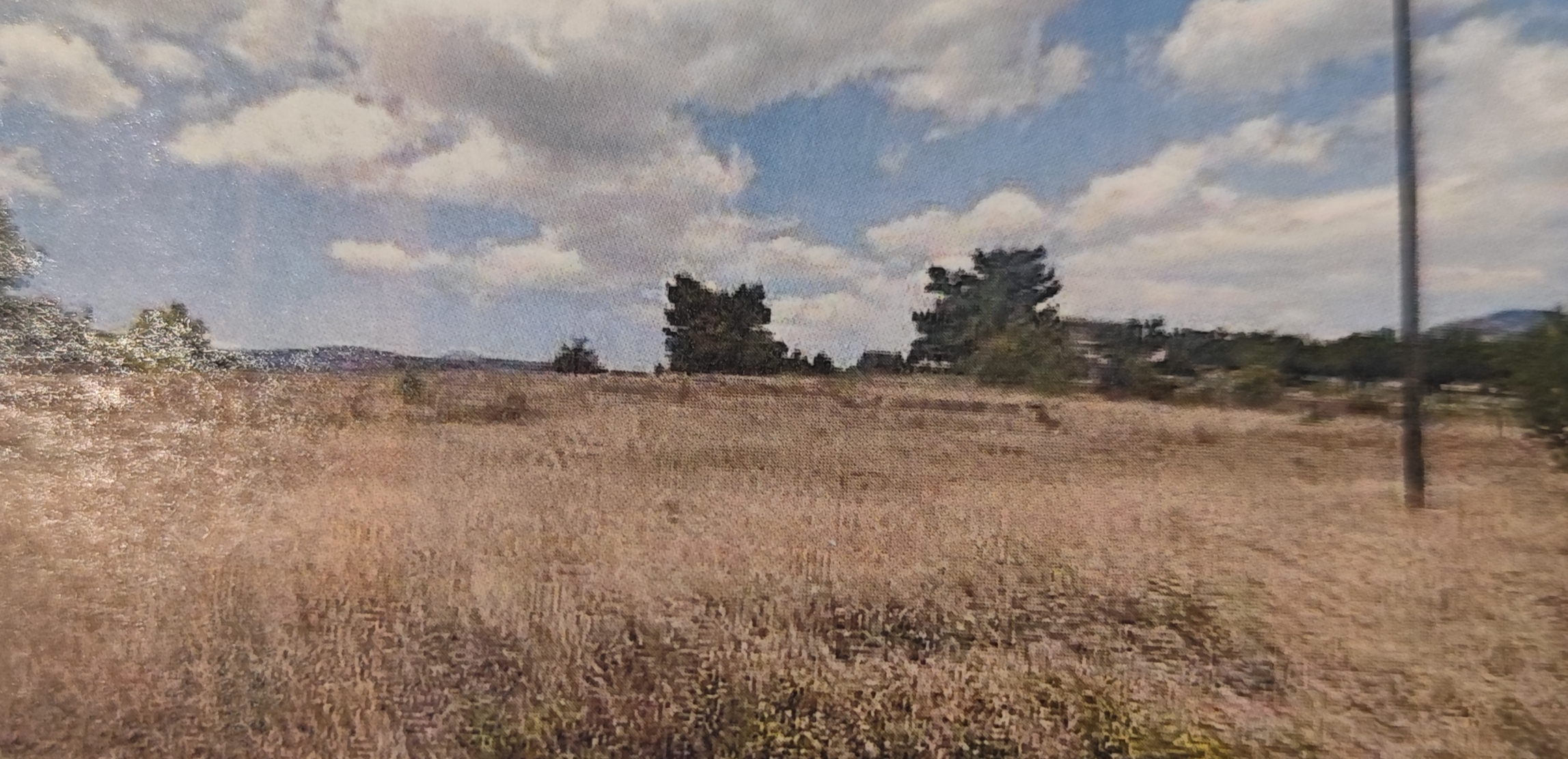 Αγροτεμάχιο  σε πλειστηριασμό Δήμος Μάνδρας - Ειδυλλίας