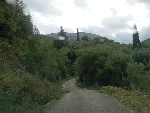 Αγροτεμάχιο  σε πλειστηριασμό Municipality of Igoumenitsa