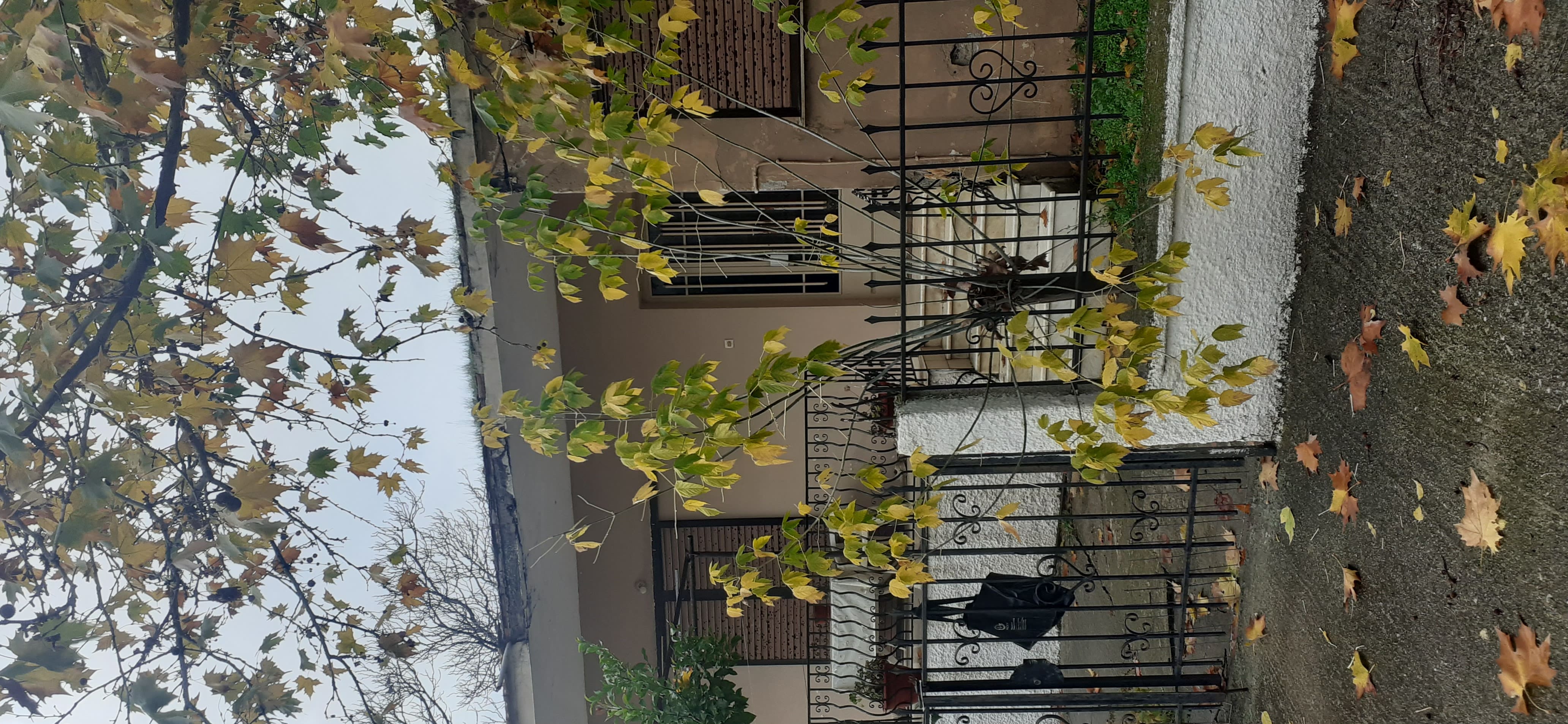 Οικόπεδο με κτίσμα  σε πλειστηριασμό Δήμος Φαρσάλων