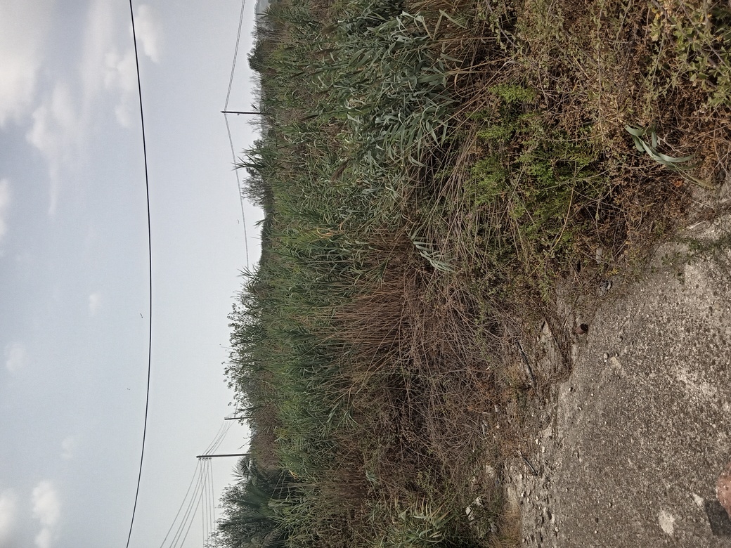 Οικόπεδο  σε πλειστηριασμό Δήμος Πρέβεζας