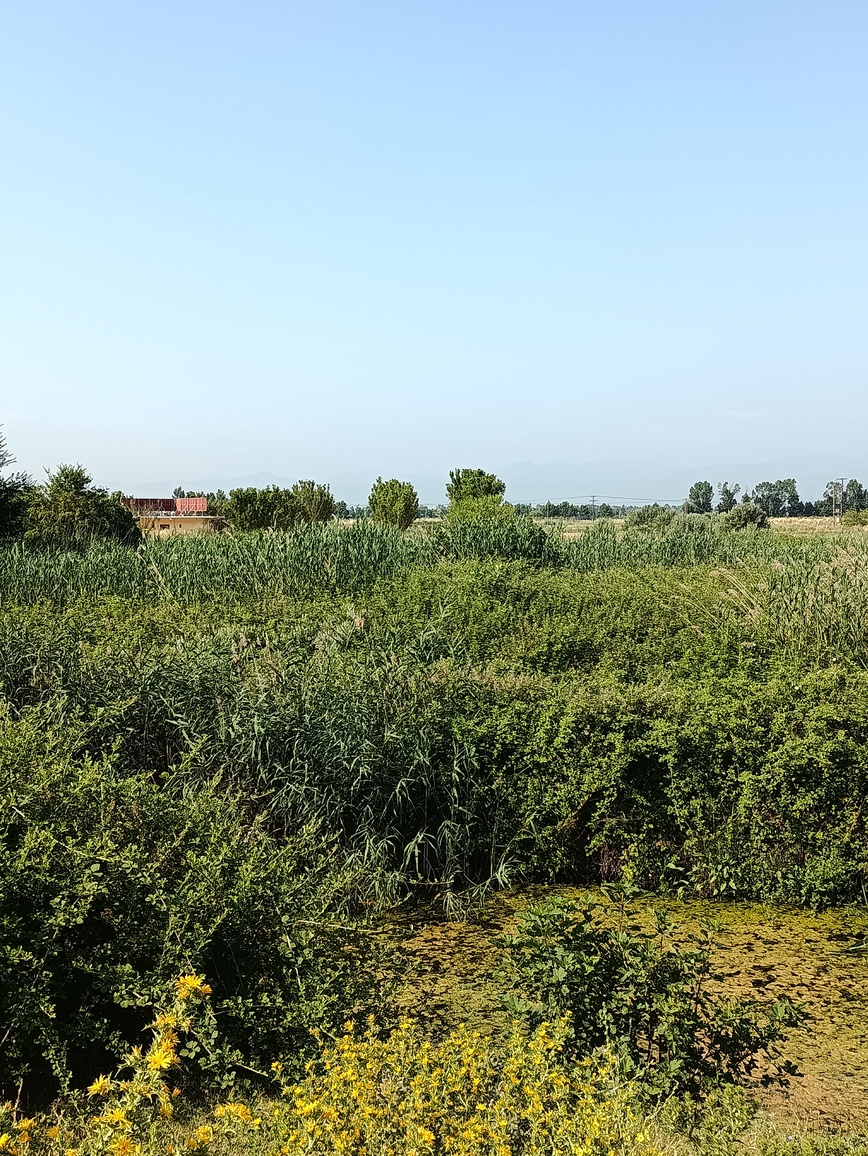 Αγροτεμάχιο 790 sq.m. σε πλειστηριασμό Municipality of Farkadona