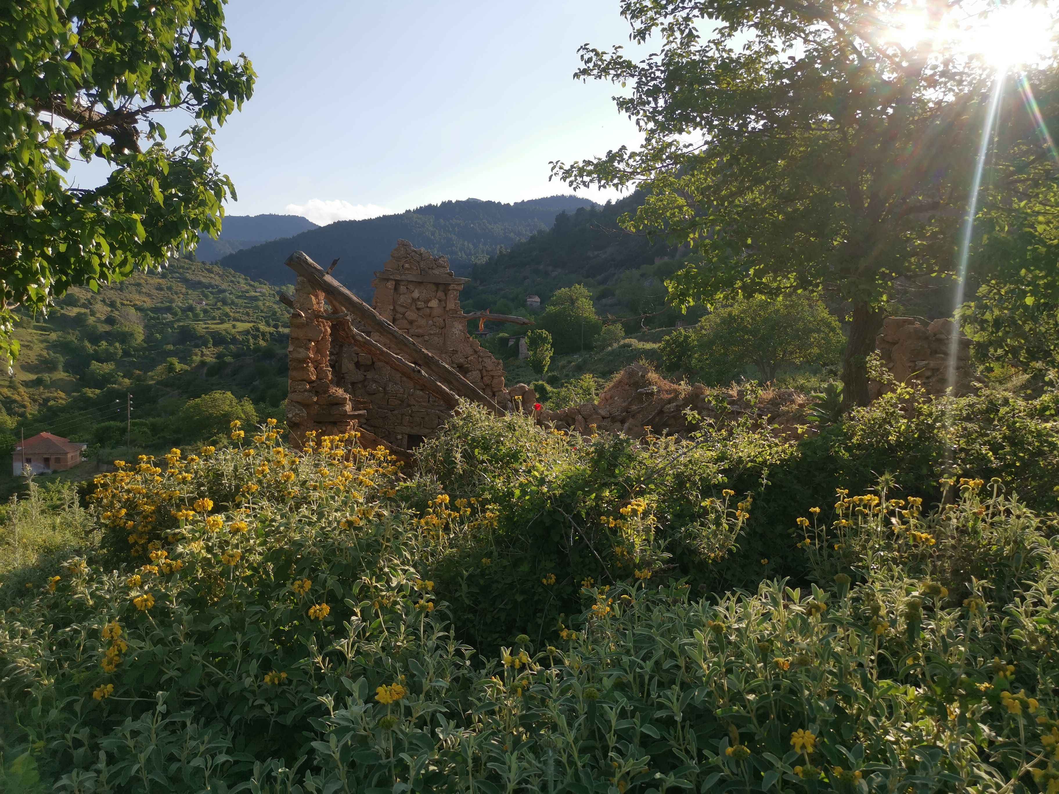 Οικόπεδο με κτίσμα 843.75 sq.m. σε πλειστηριασμό Municipality of Aegialia