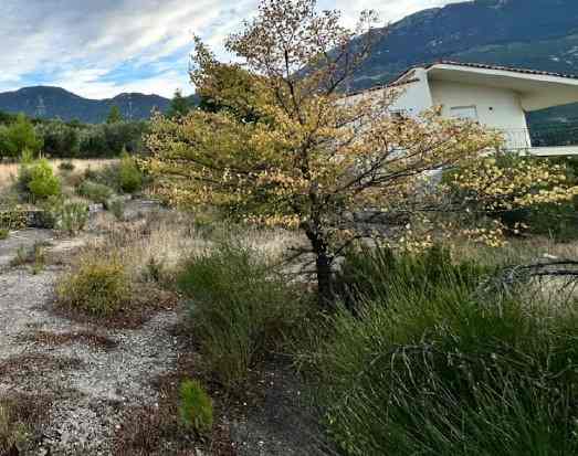 Αγροτεμάχιο με κτίσμα  σε πλειστηριασμό Municipality of Levadea