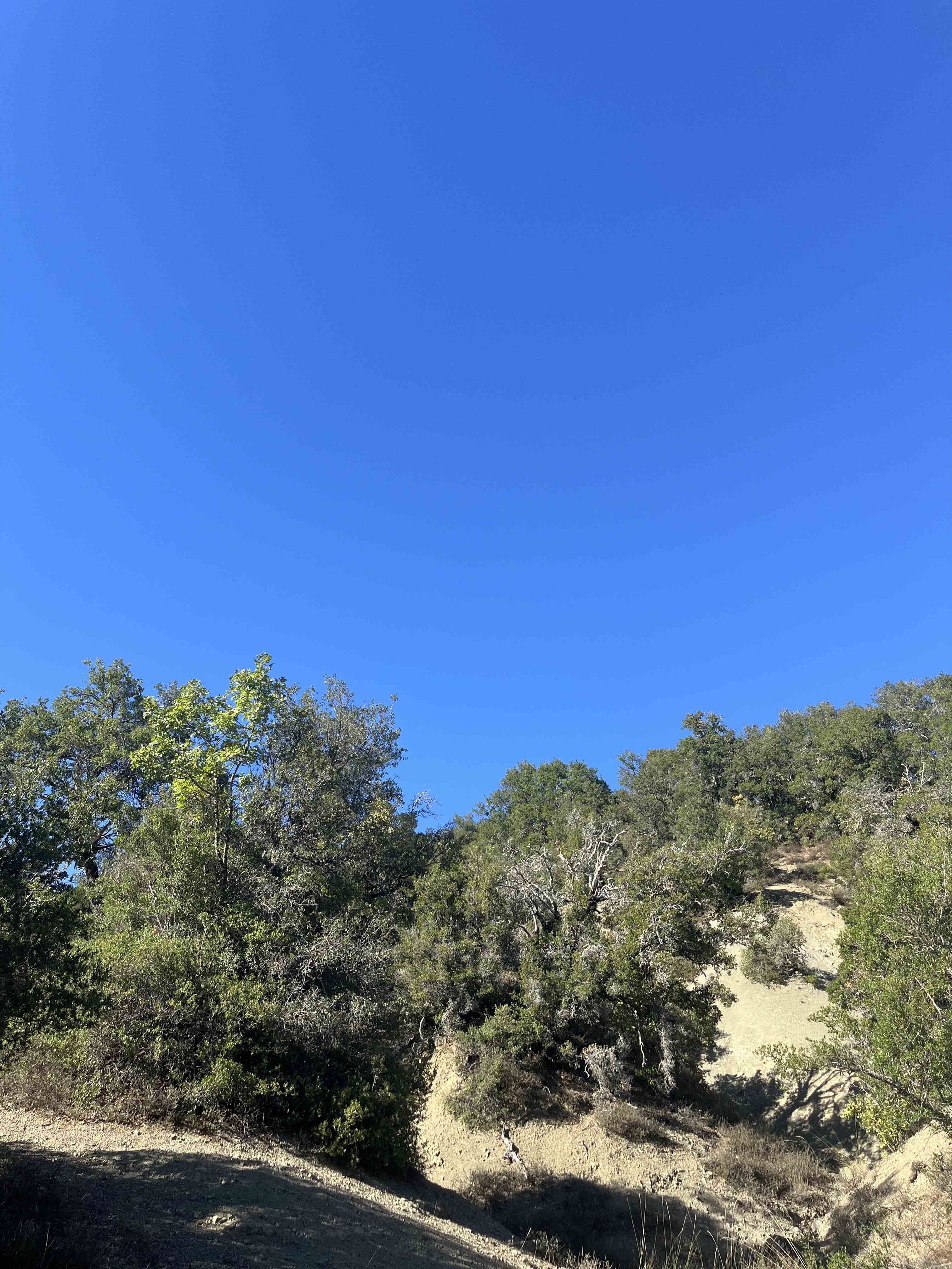 Αγροτεμάχιο 654 sq.m. σε πλειστηριασμό Municipality of Zitsa