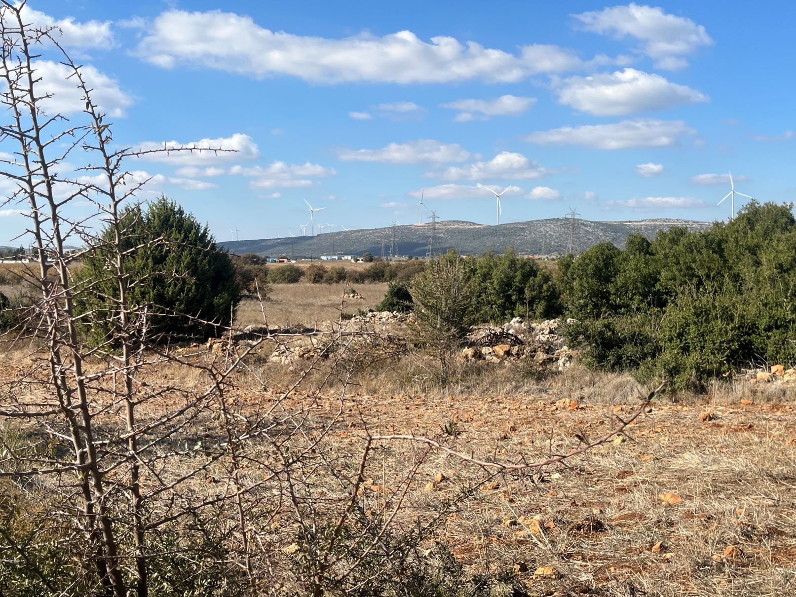 Αγροτεμάχιο  σε πλειστηριασμό Δήμος Τανάγρας