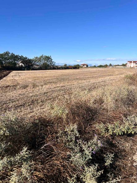 Αγροτεμάχιο  σε πλειστηριασμό Municipality of Thermi