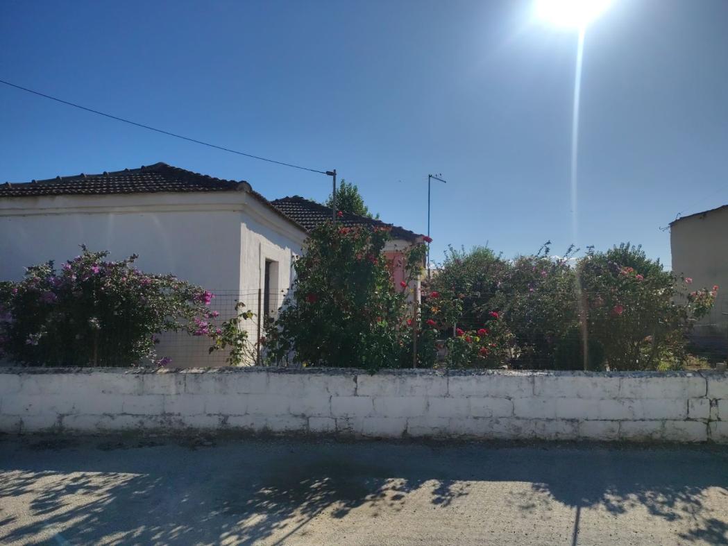 Οικόπεδο με κτίσμα 520.06 τ.μ. σε πλειστηριασμό Δήμος Τυρνάβου