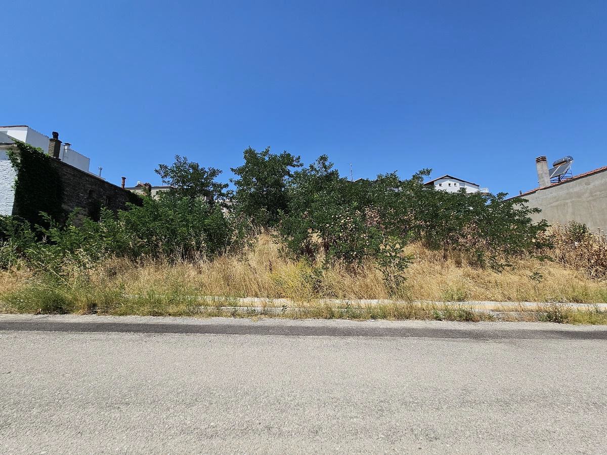 Οικόπεδο  σε πλειστηριασμό Δήμος Ορεστιάδας