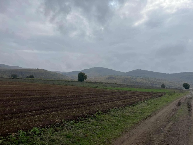 Αγροτεμάχιο 4000 τ.μ. σε πλειστηριασμό Δήμος Γρεβενών