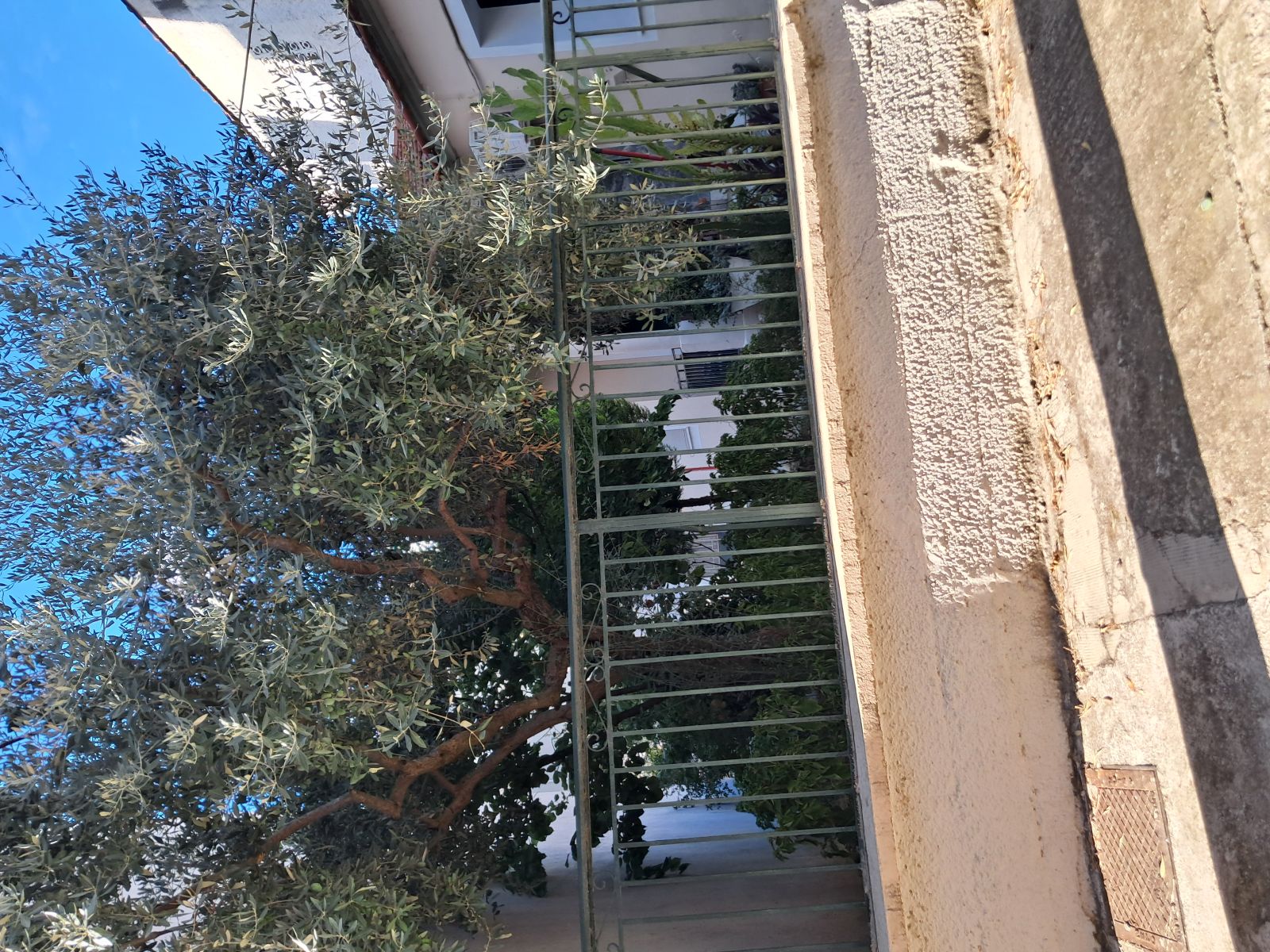 Οικόπεδο με κτίσμα 185.92 τ.μ. σε πλειστηριασμό Δήμος Λαρισαίων