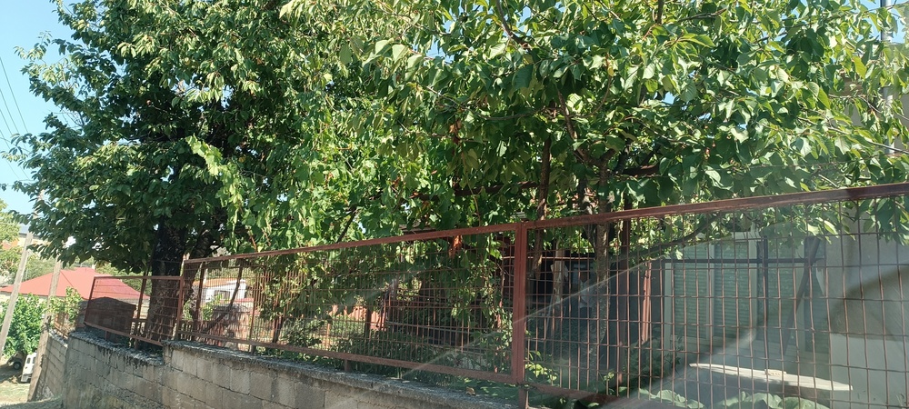 Κατοικία  σε πλειστηριασμό Municipality of Zitsa