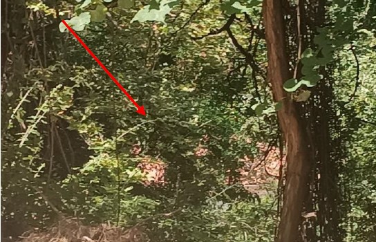 Αγροτεμάχιο με κτίσμα  σε πλειστηριασμό Δήμος Λίμνης Πλαστήρα