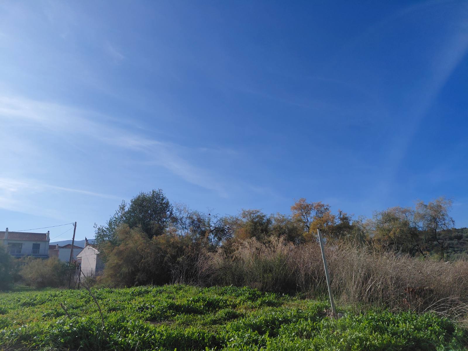 Οικόπεδο 472.50 τ.μ. σε πλειστηριασμό Δήμος Βόλου