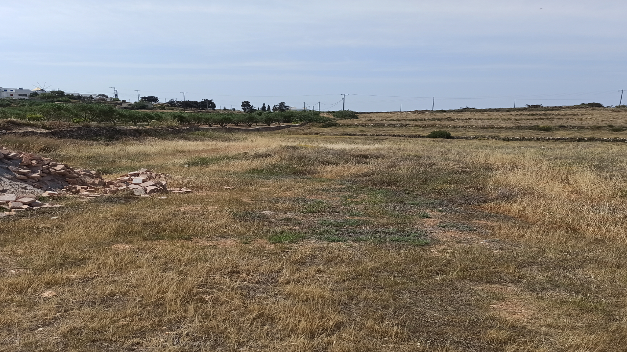 Αγροτεμάχιο με κτίσμα  σε πλειστηριασμό Δήμος Πάρου