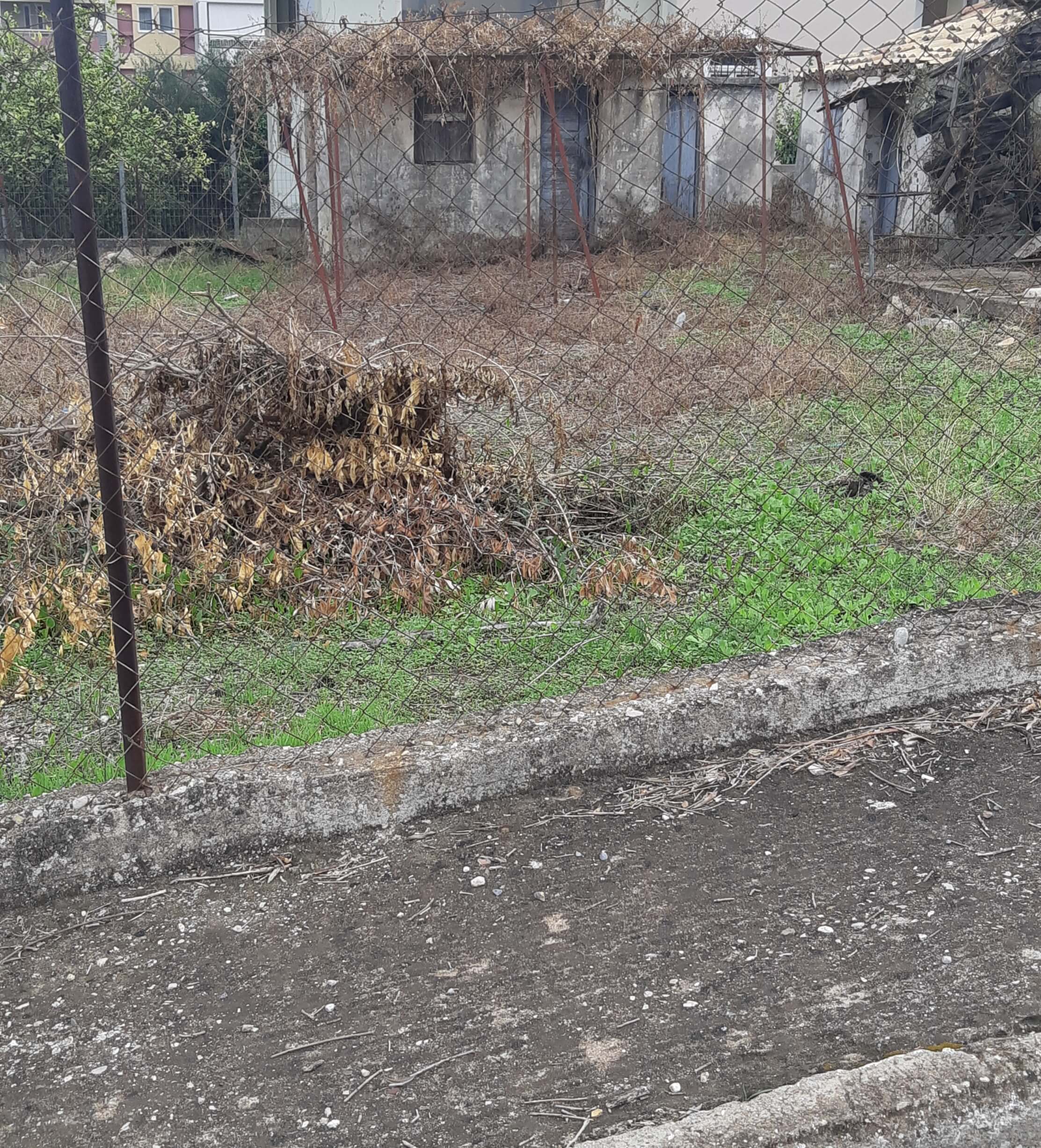 Οικόπεδο με κτίσμα  σε πλειστηριασμό Municipality of Trifylia