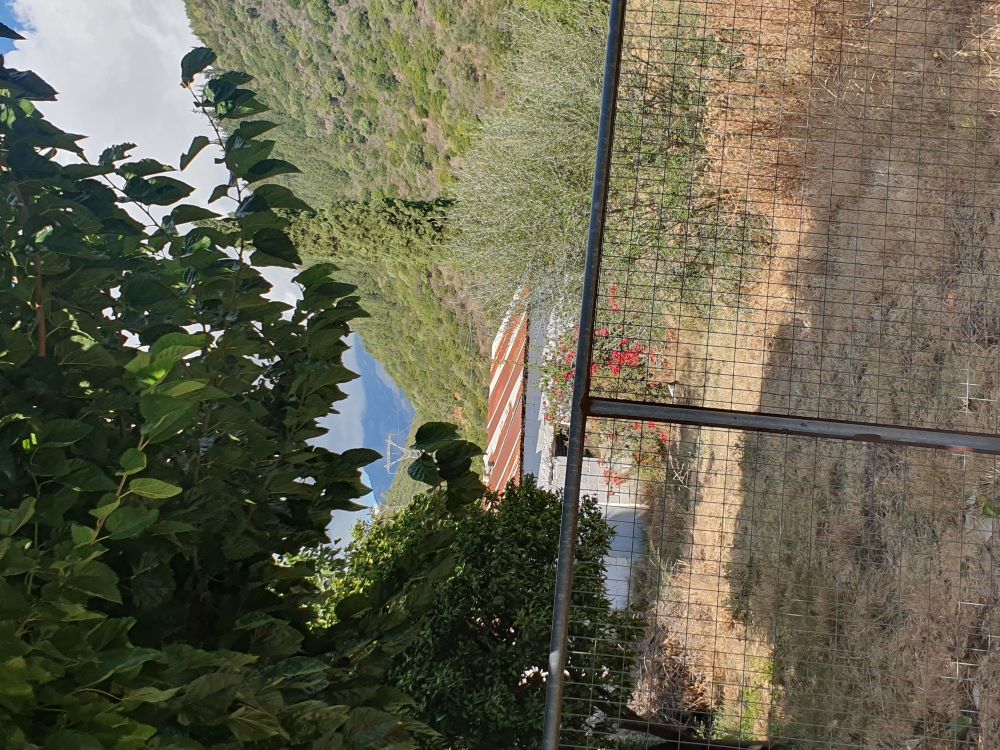 Οικόπεδο με κτίσμα  σε πλειστηριασμό Δήμος Ναυπακτίας 