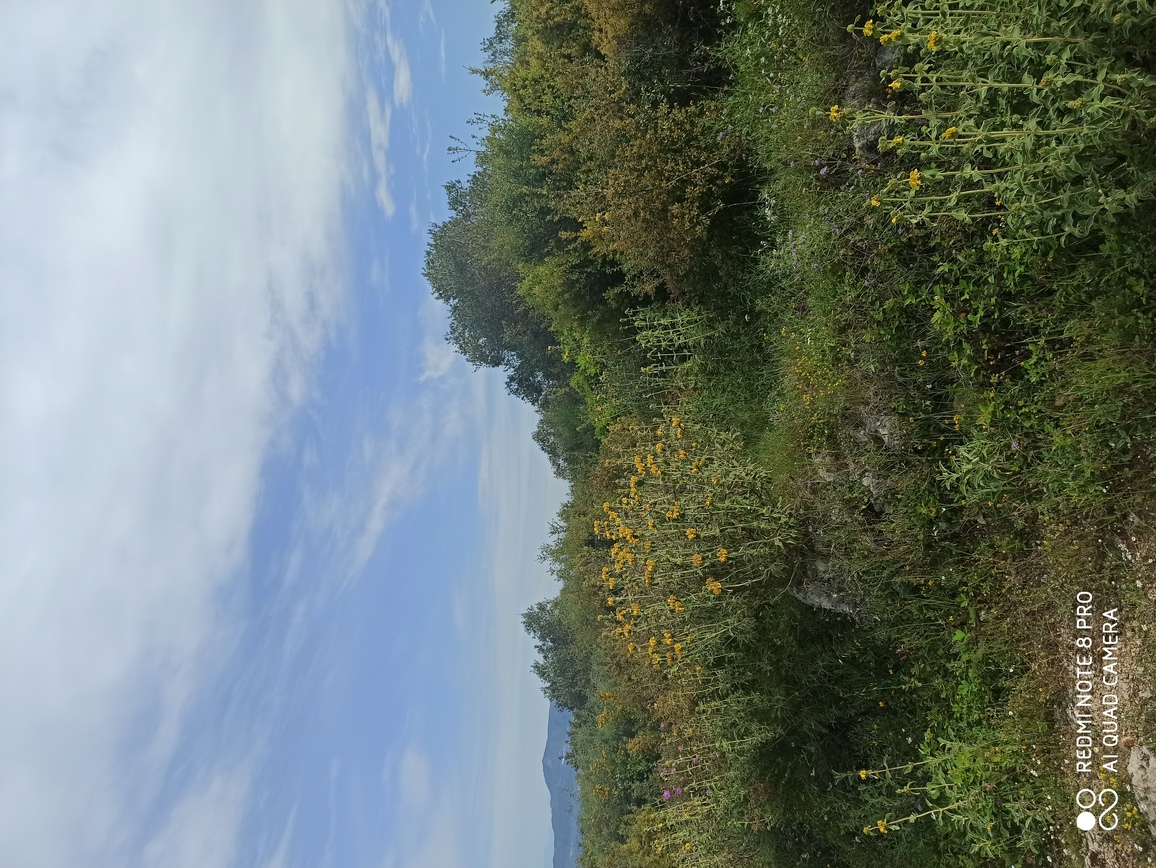 Αγροτεμάχιο με κτίσμα  σε πλειστηριασμό Municipality of Corfu