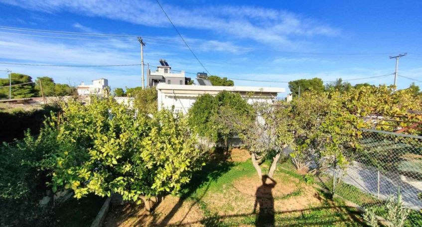 Αποθήκη  σε πλειστηριασμό Δήμος Σπάτων - Αρτέμιδος