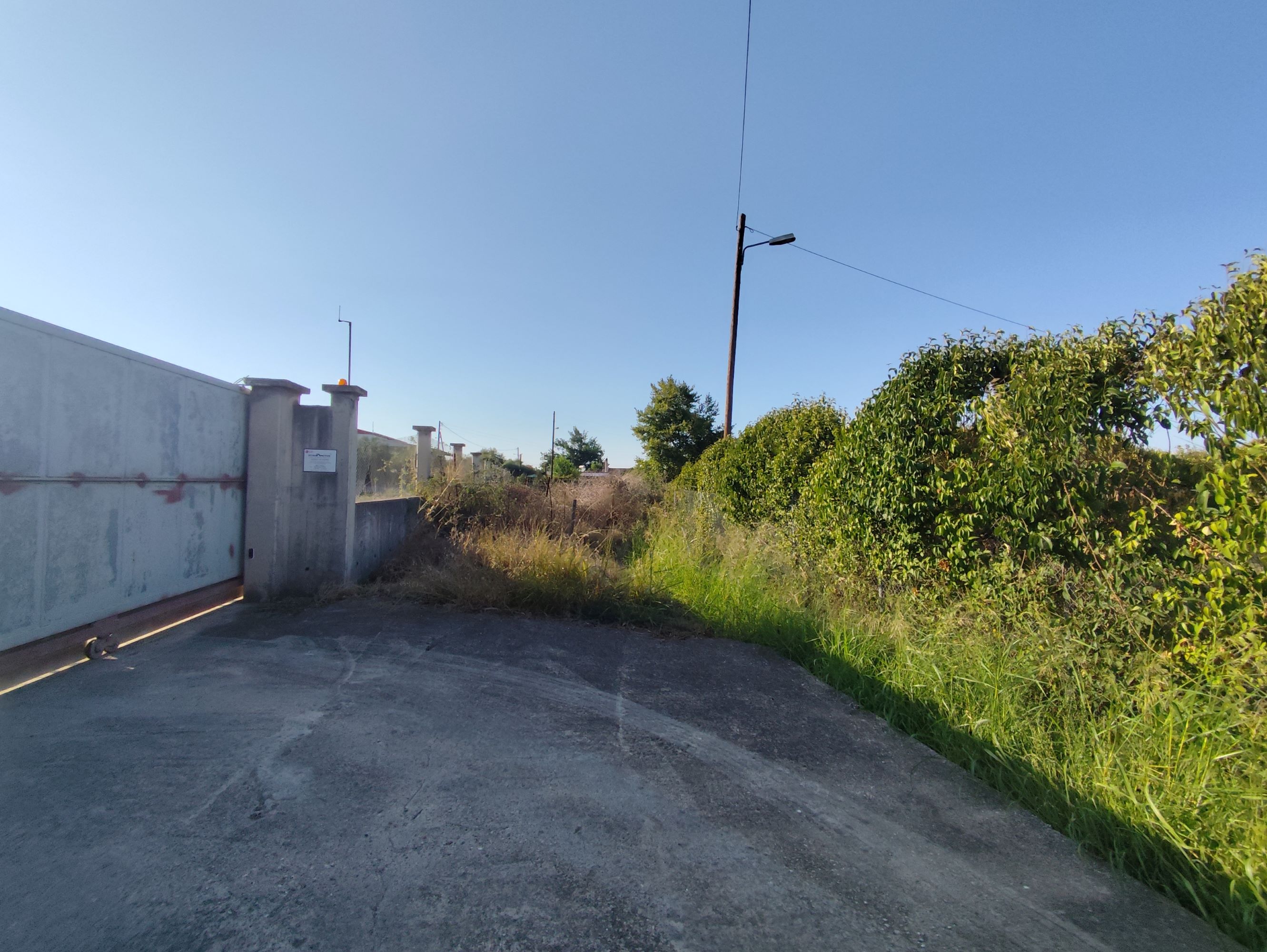 Αγροτεμάχιο  σε πλειστηριασμό Δήμος Πύργου