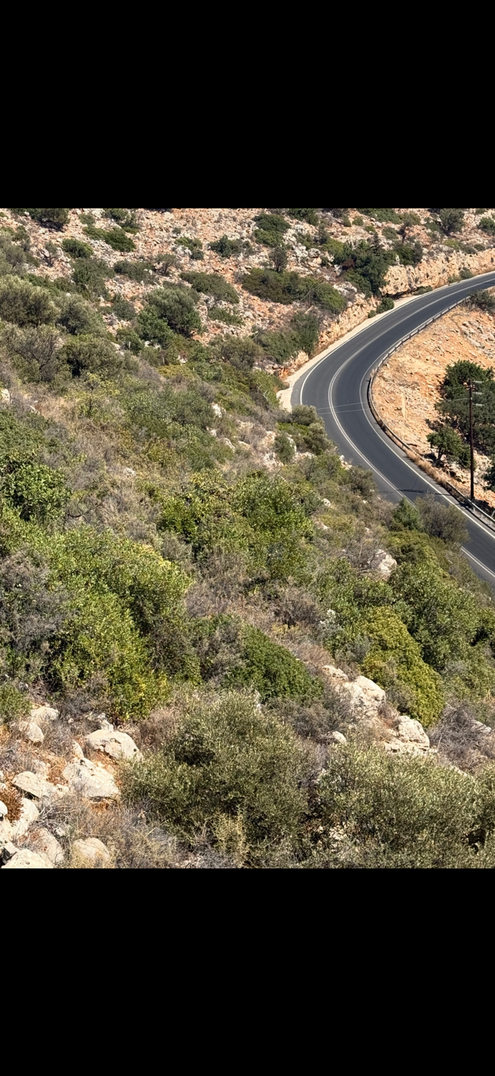 Αγροτεμάχιο  σε πλειστηριασμό Δήμος Χανίων