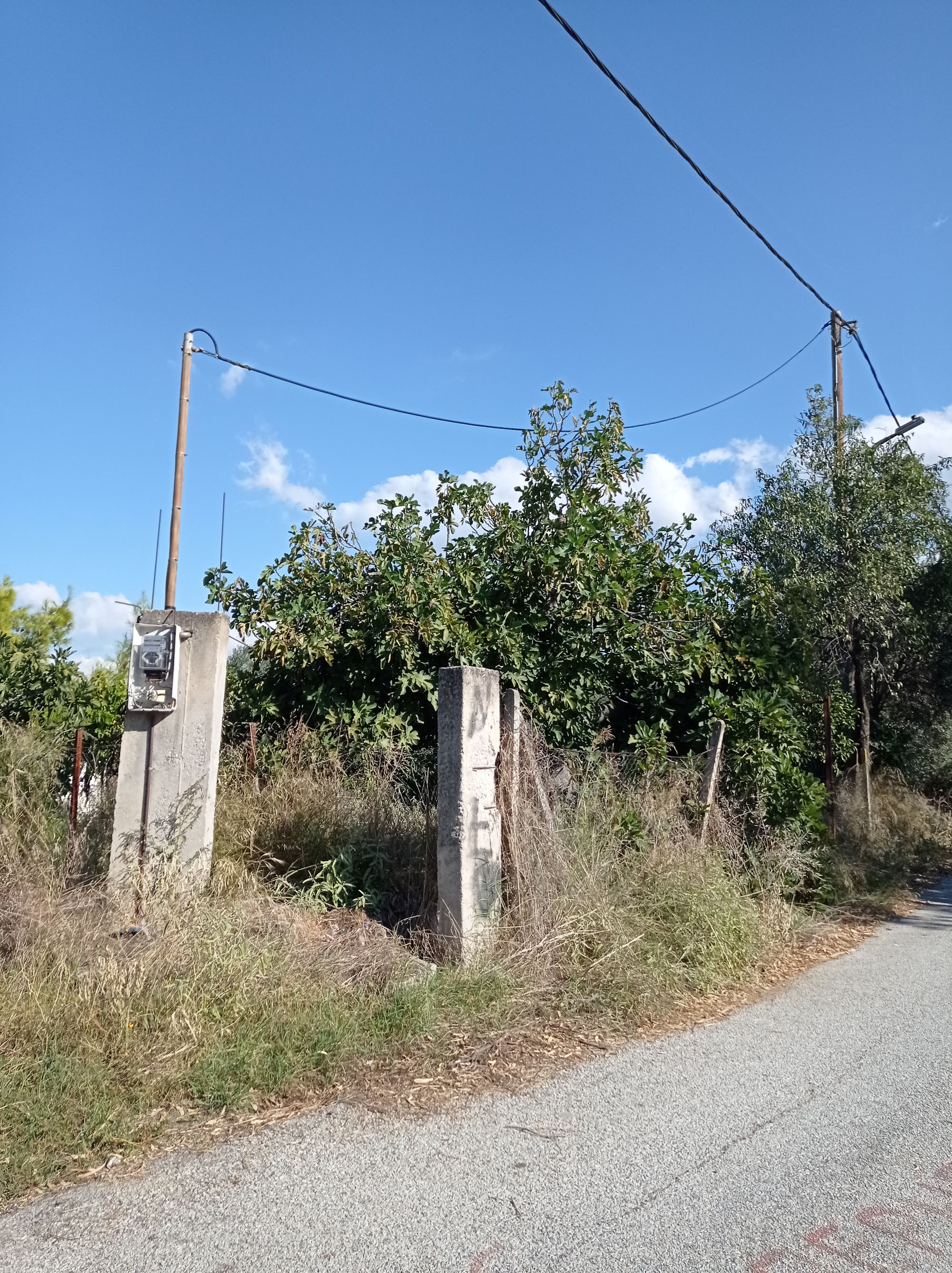 Αγροτεμάχιο  σε πλειστηριασμό Municipality of Volos