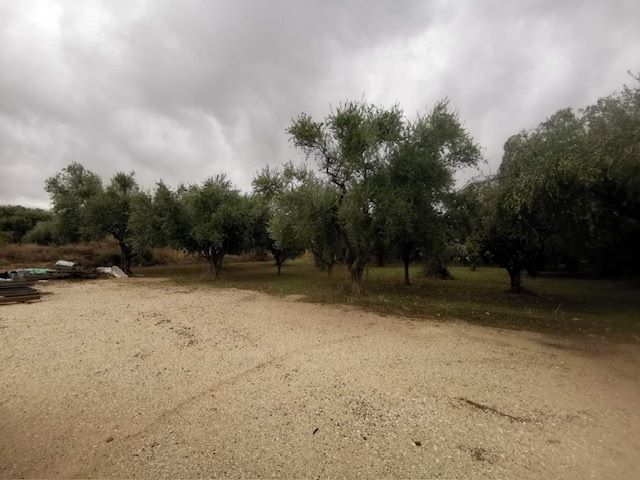 Οικόπεδο 714.68 τ.μ. σε πλειστηριασμό Δήμος Πατρέων