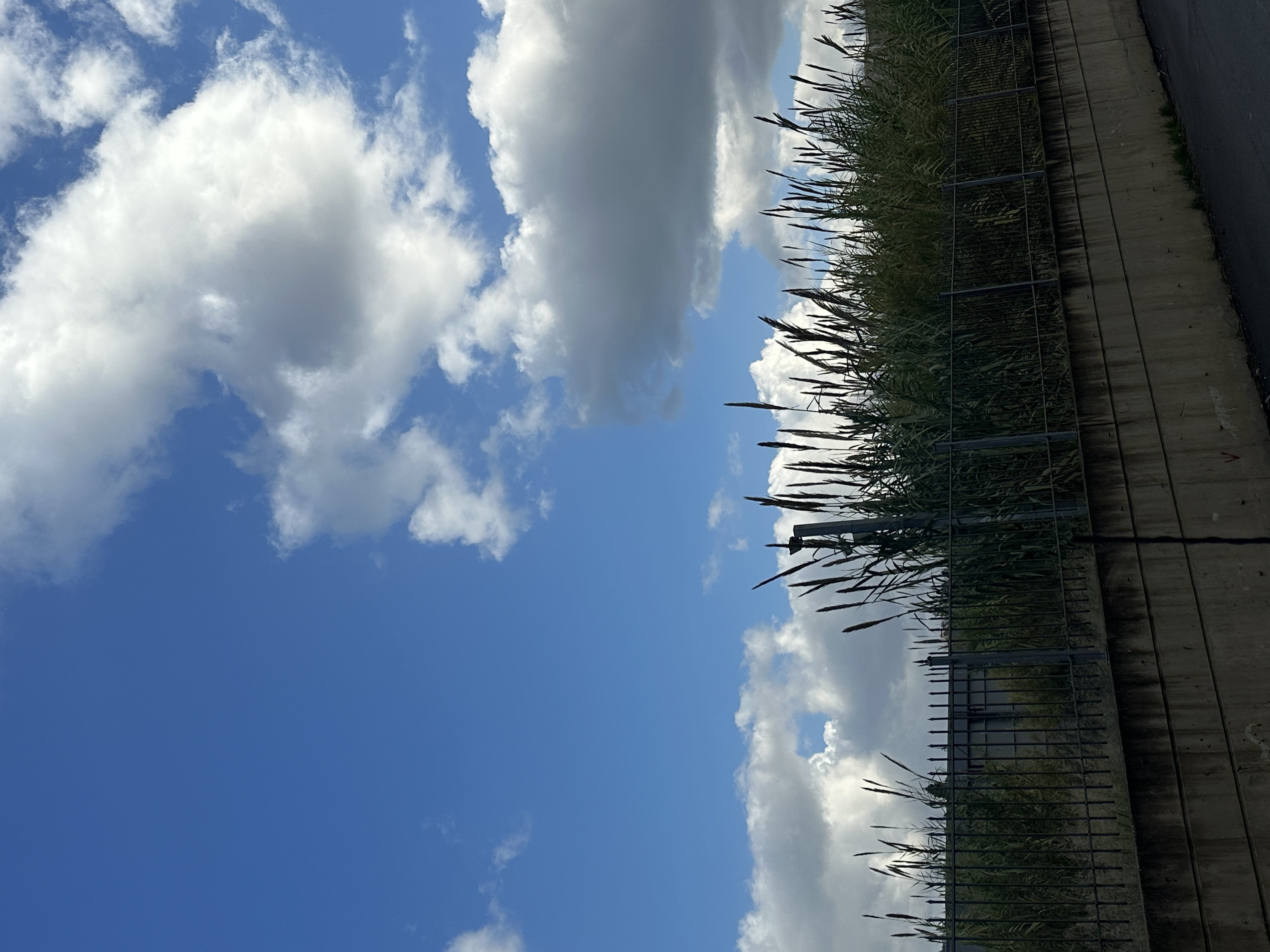 Αγροτεμάχιο  σε πλειστηριασμό Municipality of Chania