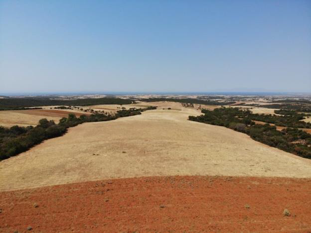 Αγροτεμάχιο 79.10 τ.μ. σε πλειστηριασμό Δήμος Μαρωνείας - Σαπών