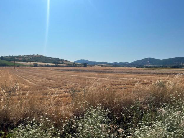 Αγροτεμάχιο 79.10 τ.μ. σε πλειστηριασμό Δήμος Μαρωνείας - Σαπών