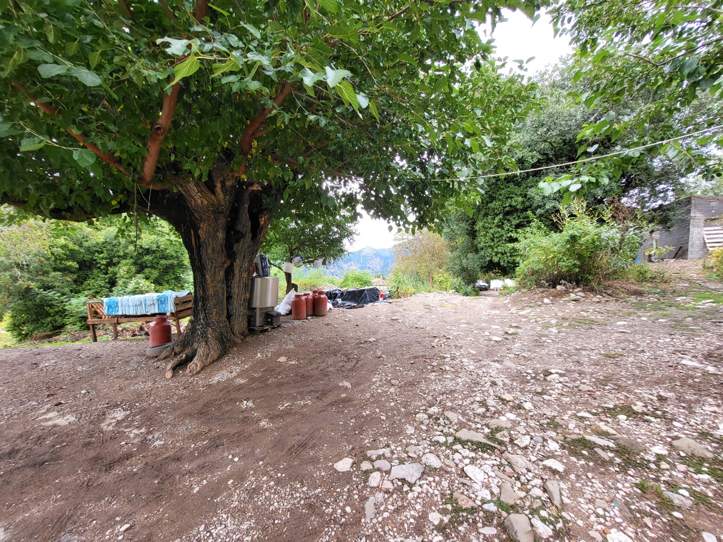 Οικόπεδο  σε πλειστηριασμό Δήμος Καλαβρύτων