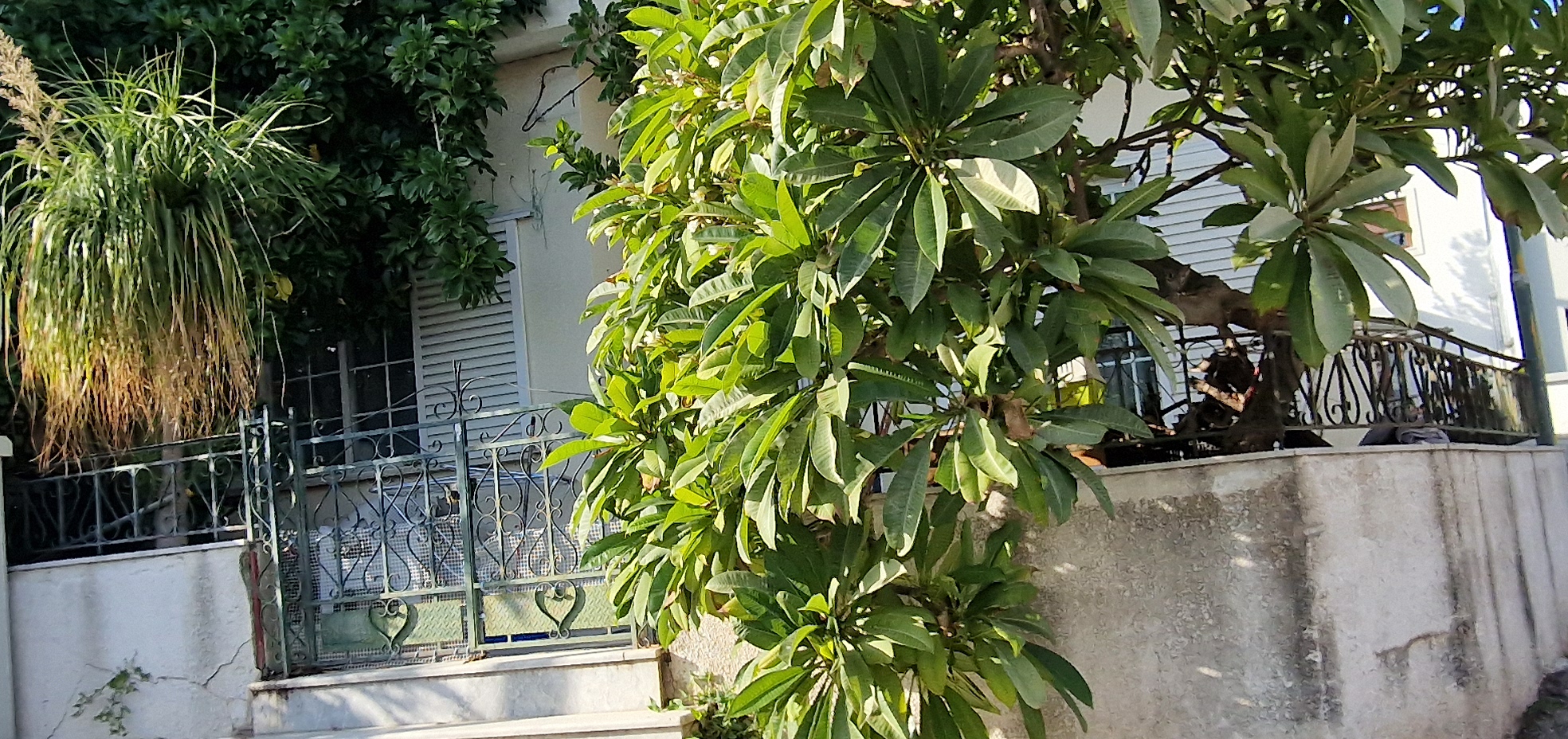 Οικόπεδο με κτίσμα  σε πλειστηριασμό Δήμος Ρόδου