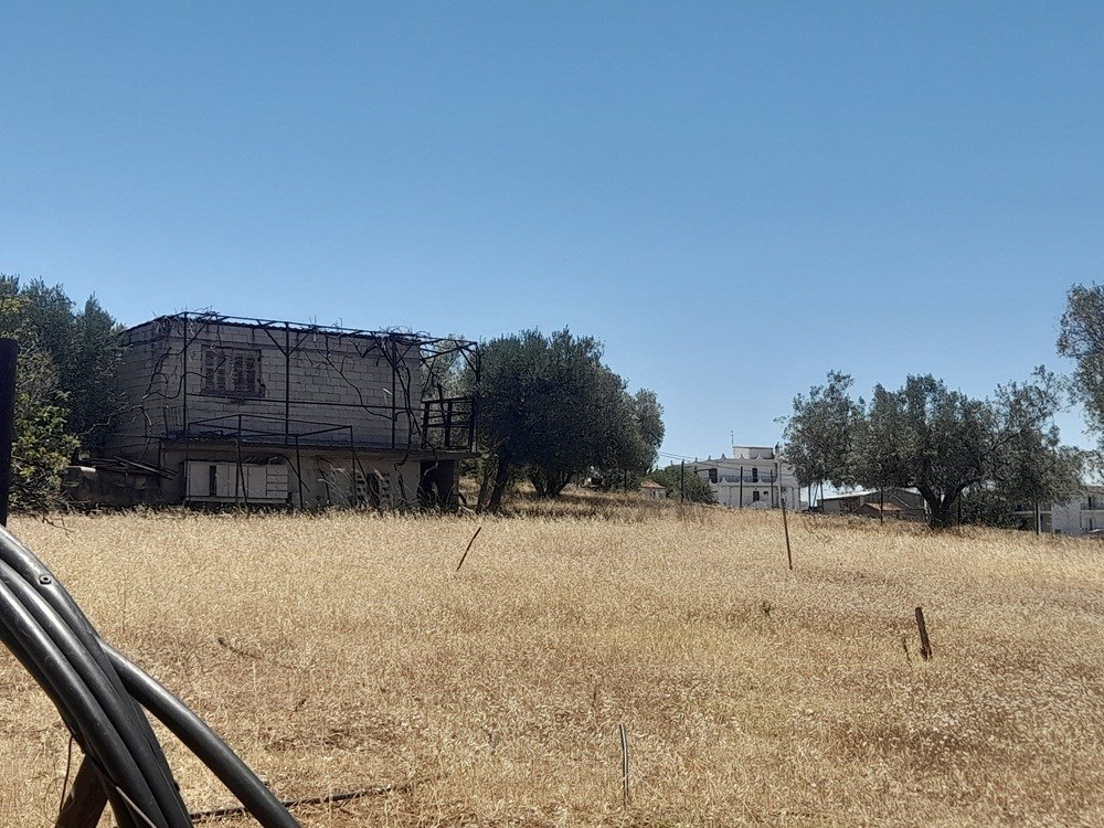 Αγροτεμάχιο  σε πλειστηριασμό Δήμος Χαλκιδέων