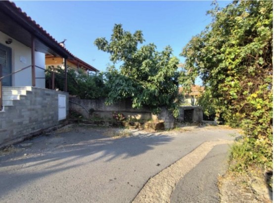 Οικόπεδο  σε πλειστηριασμό Δήμος Τριφυλίας