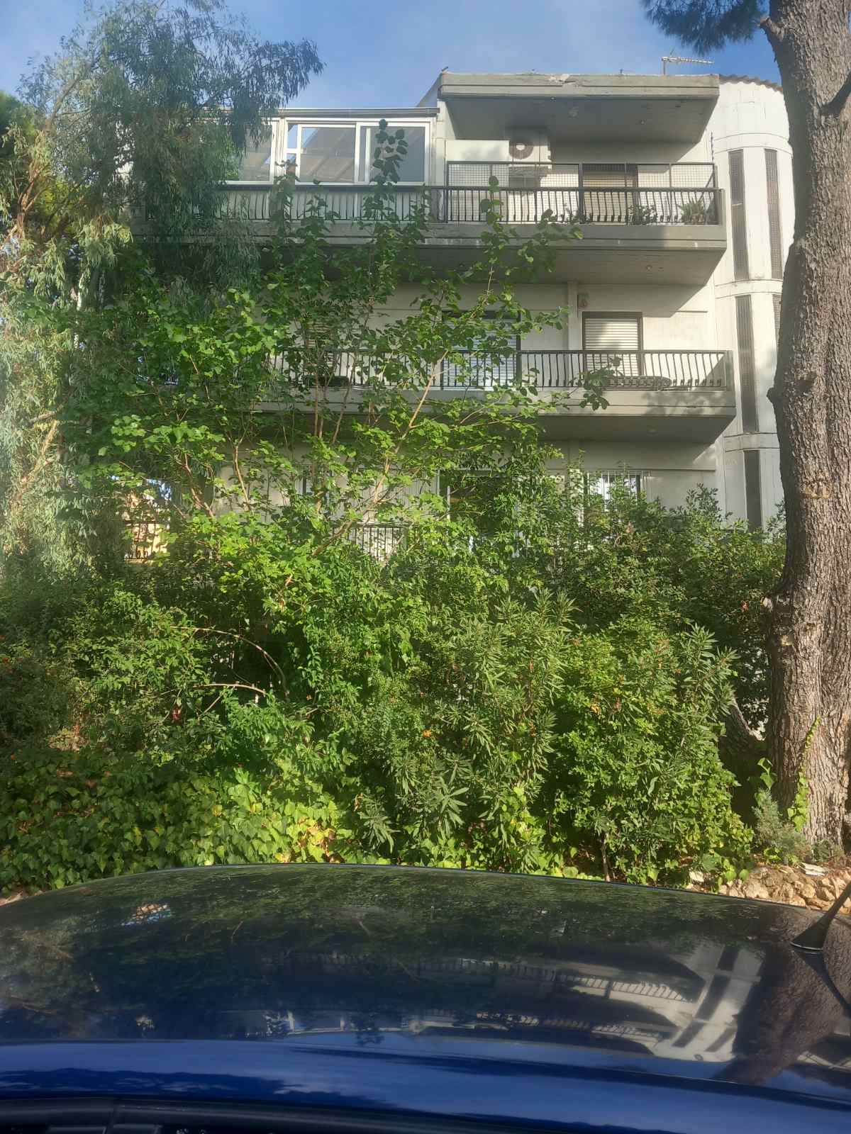 Κατοικία 102.46 τ.μ. σε πλειστηριασμό Δήμος Κηφισιάς