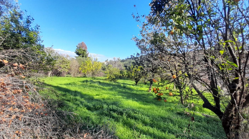 Οικόπεδο  σε πλειστηριασμό Δήμος Πατρέων