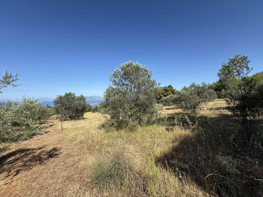 Αγροτεμάχιο 48.27 τ.μ. σε πλειστηριασμό Δήμος Σικυωνίων