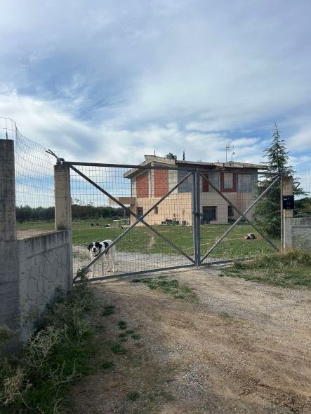 Αγροτεμάχιο με κτίσμα  σε πλειστηριασμό Δήμος Θερμαϊκού