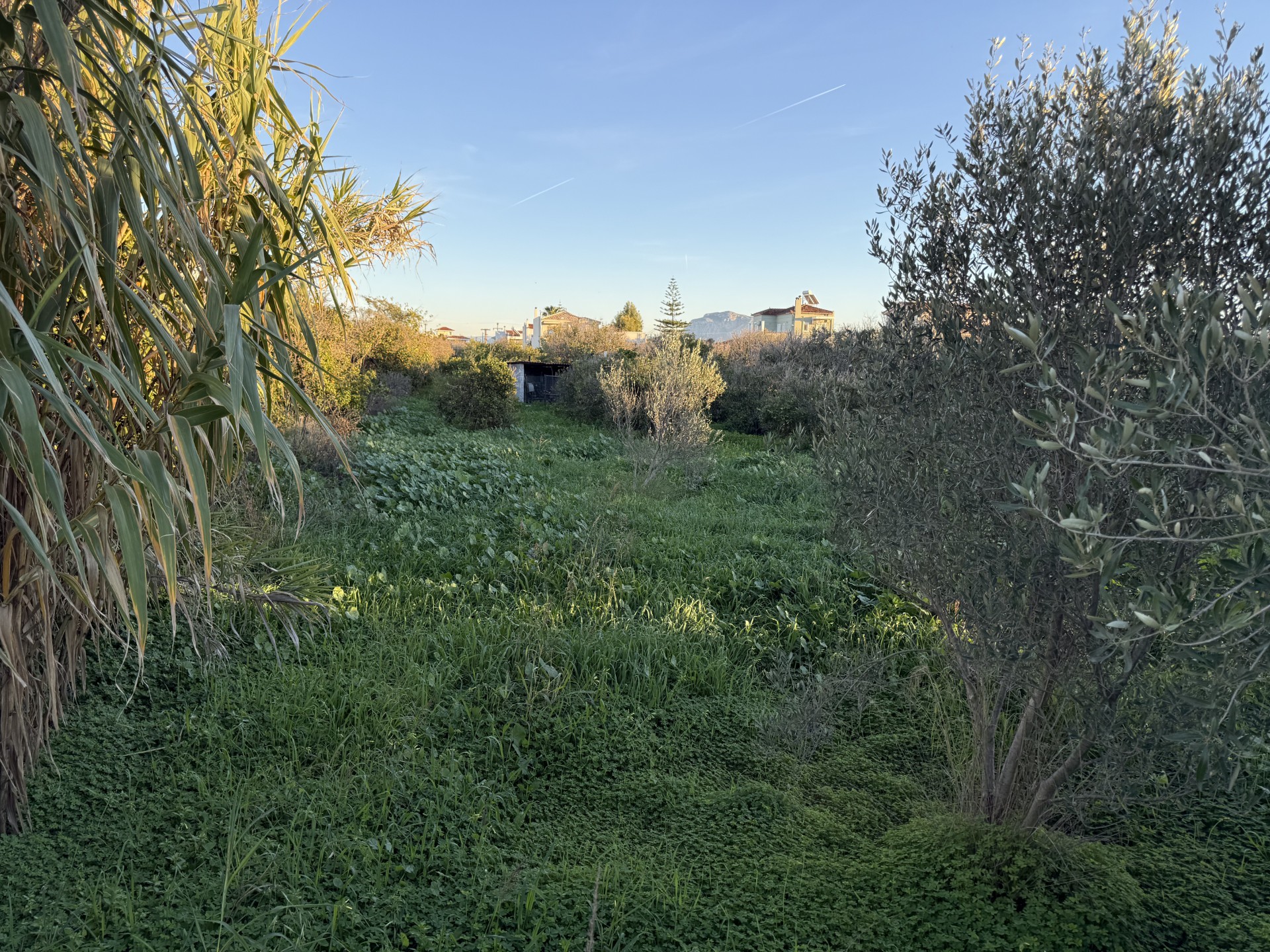 Οικόπεδο  σε πλειστηριασμό Municipality of Velos - Vochas