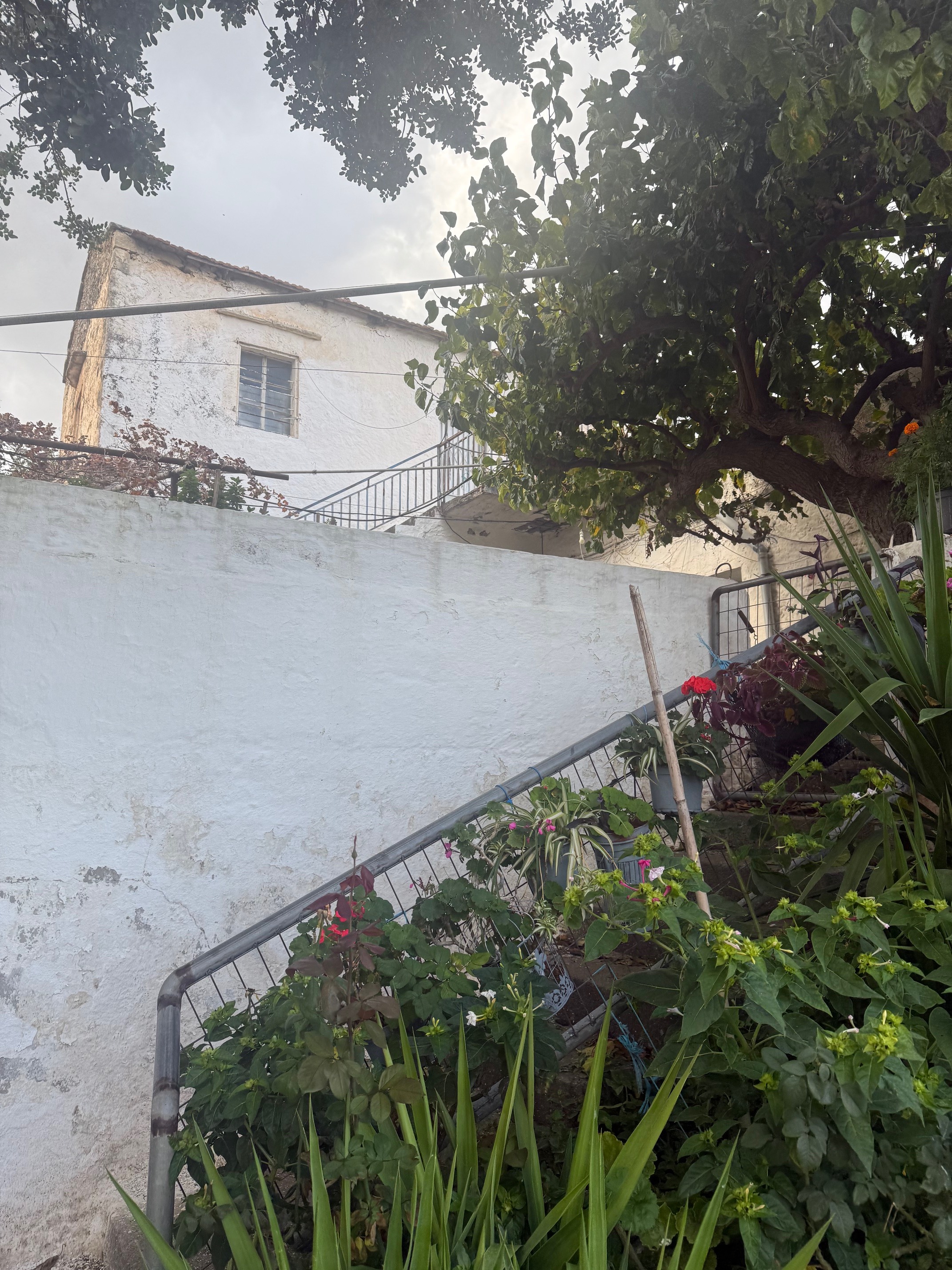 Οικόπεδο με κτίσμα  σε πλειστηριασμό Δήμος Αποκορώνου 